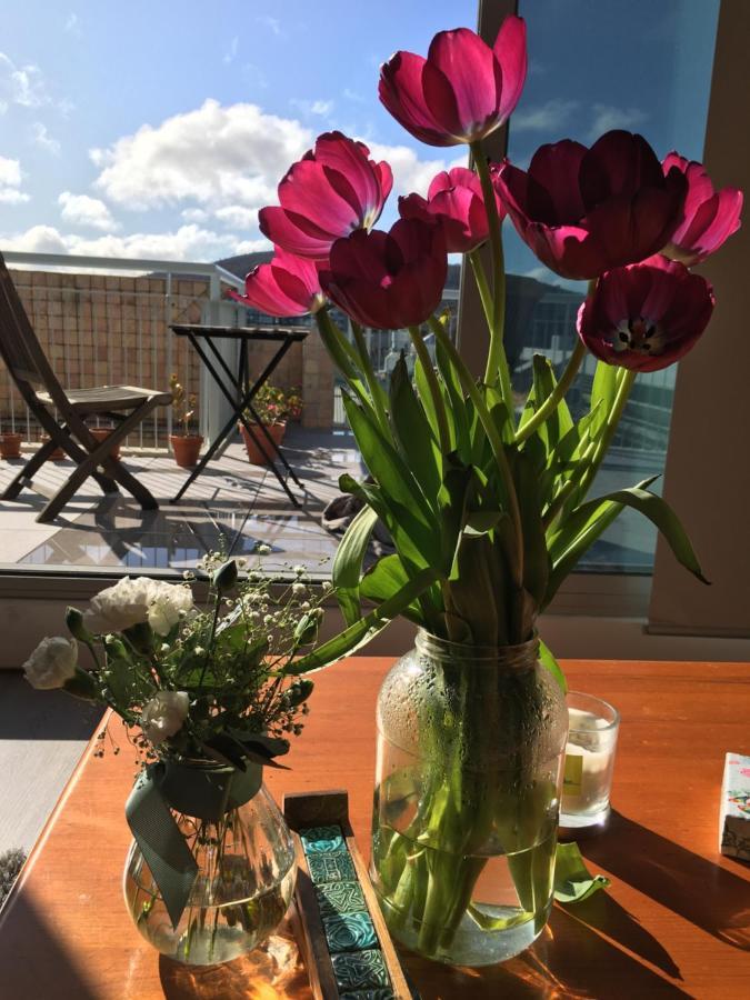 Dana-central With Mount Ainslie Views Apartment Canberra