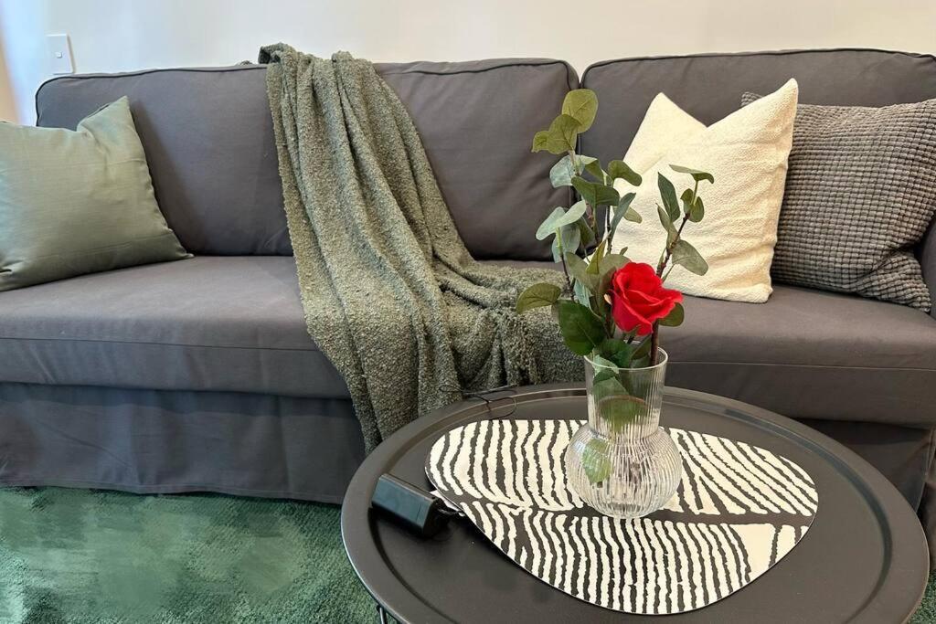 Brand New Luxe Sol Cbd One Bedroom Apartment