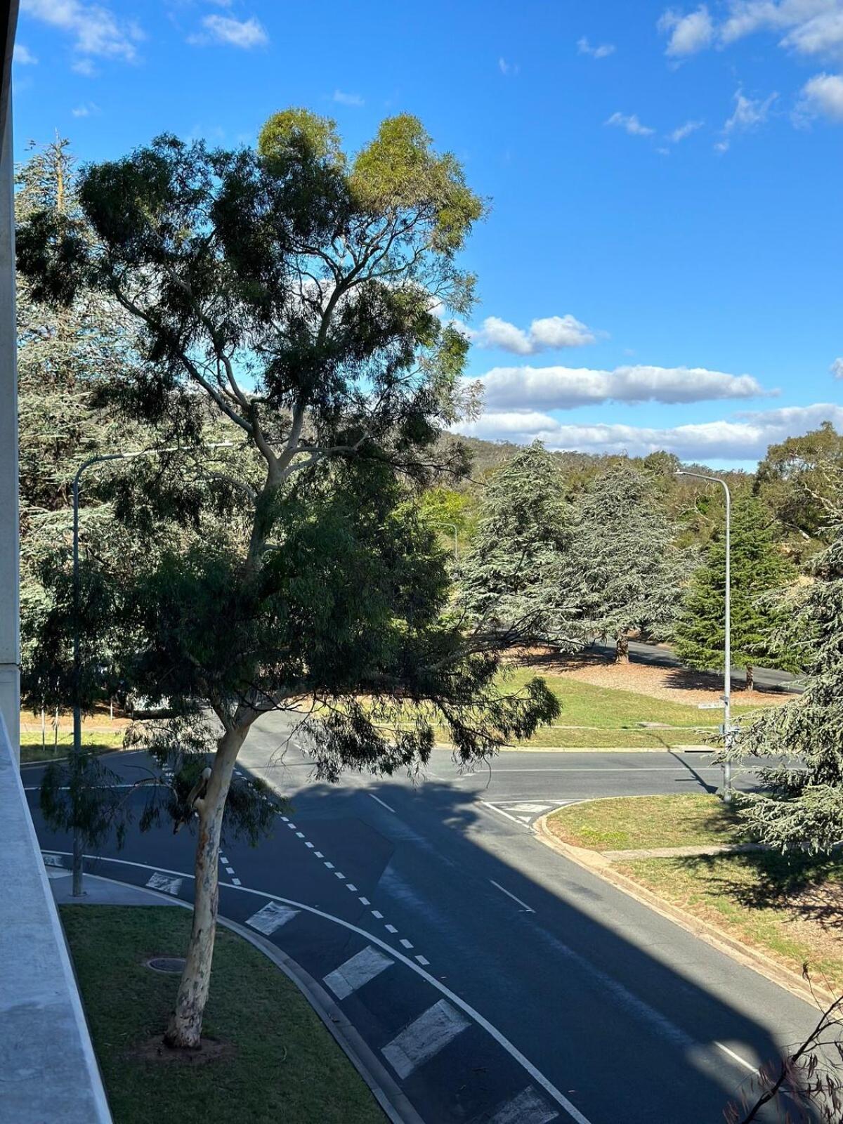 Apartment Modern Quiet Two Bedroom Apt In Canberra City