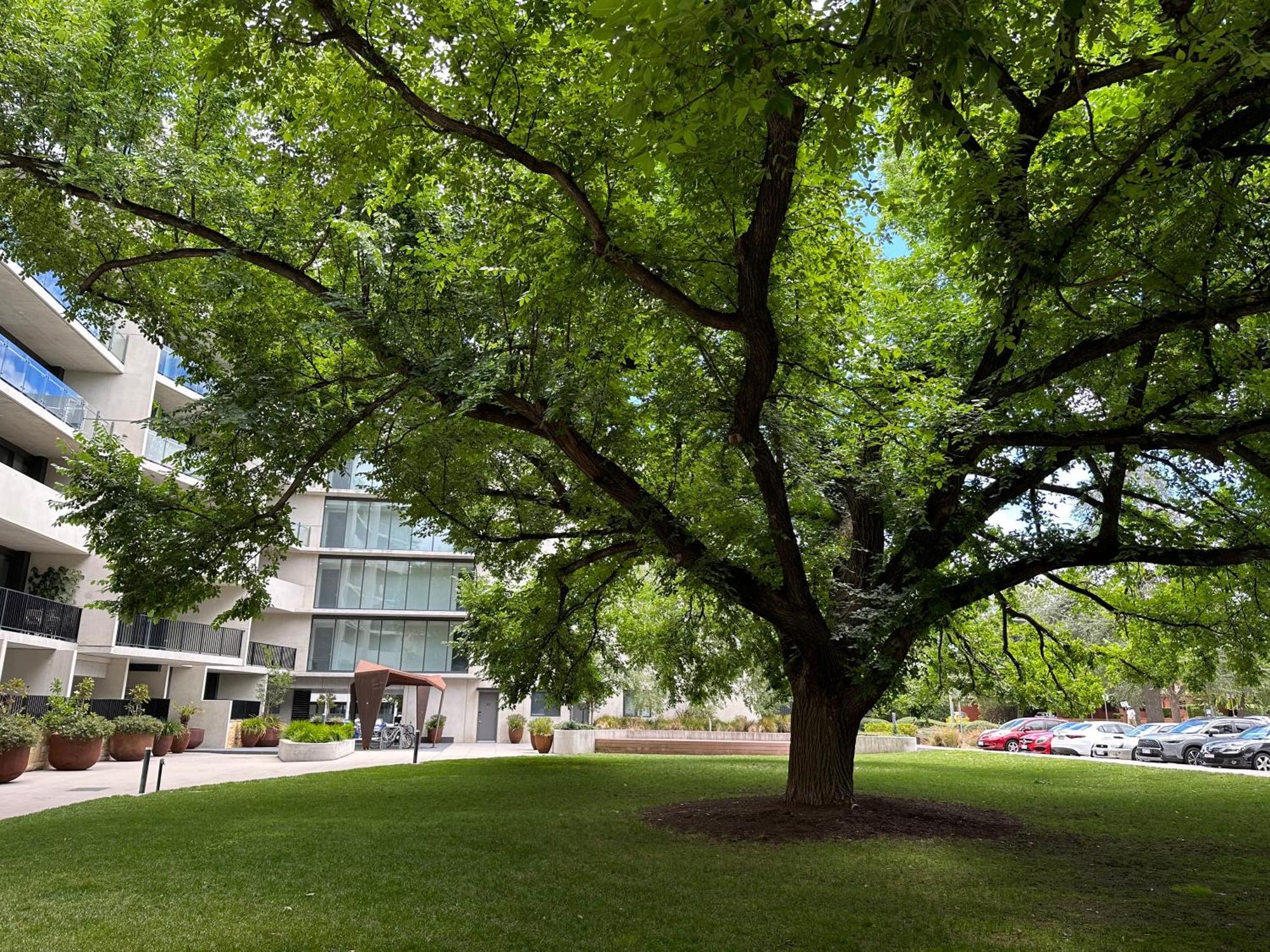 Modern Quiet Two Bedroom Apt In Canberra City *