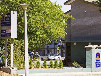 Ibis Styles Tall Trees 4*