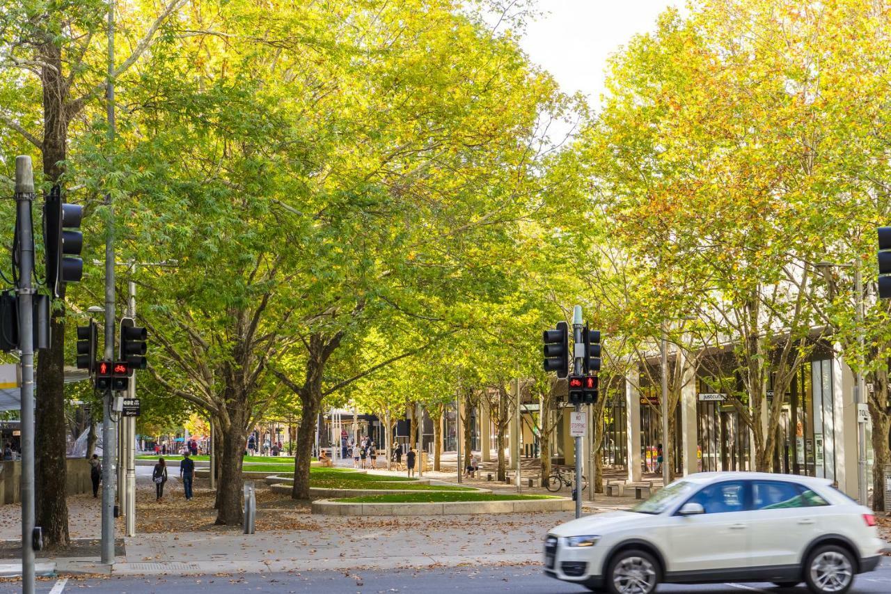 Highgate Executive City Walk Apartment