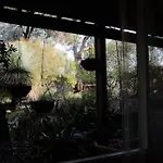 Nature Near City & Anu With Free Parking