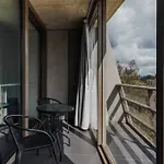 Apartment Nestled Between Lake Burley Griffin, City And Anu