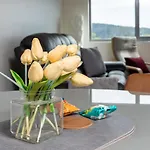 Impeccable Apt In The Heart Of Canberra
