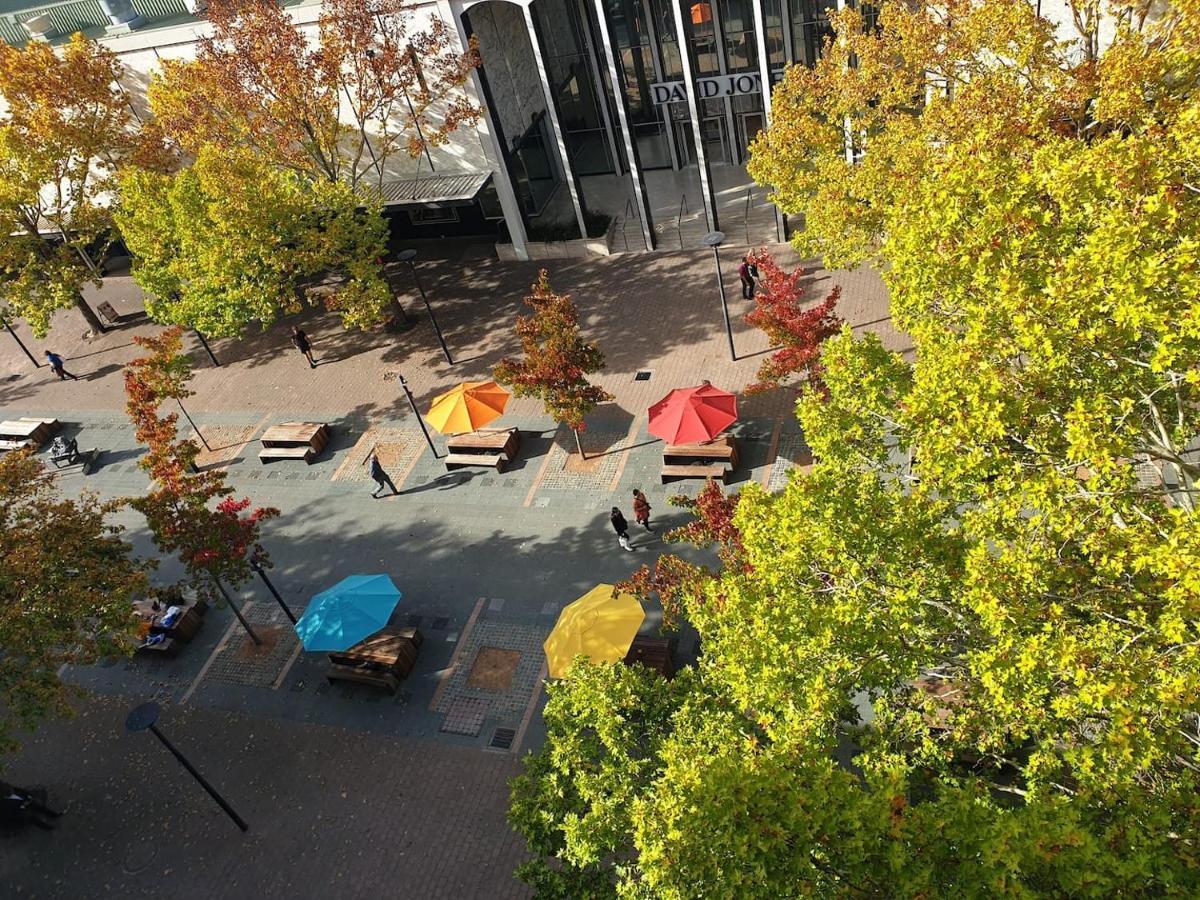 Apartment Dana-central With Mount Ainslie Views *