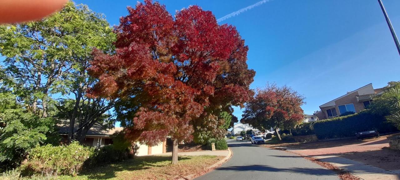 Sweet By The Golf Course * Canberra