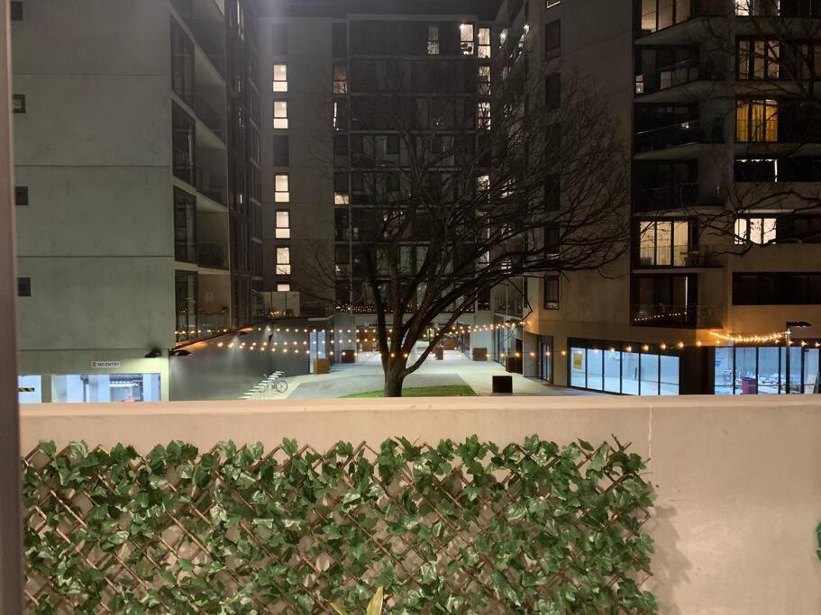 Plush At Dawn, City Apartment Canberra