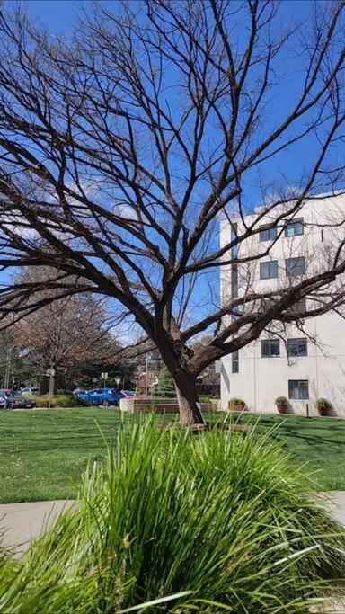 Apartment Sunny 2-bedroom @the Heart Of Canberra