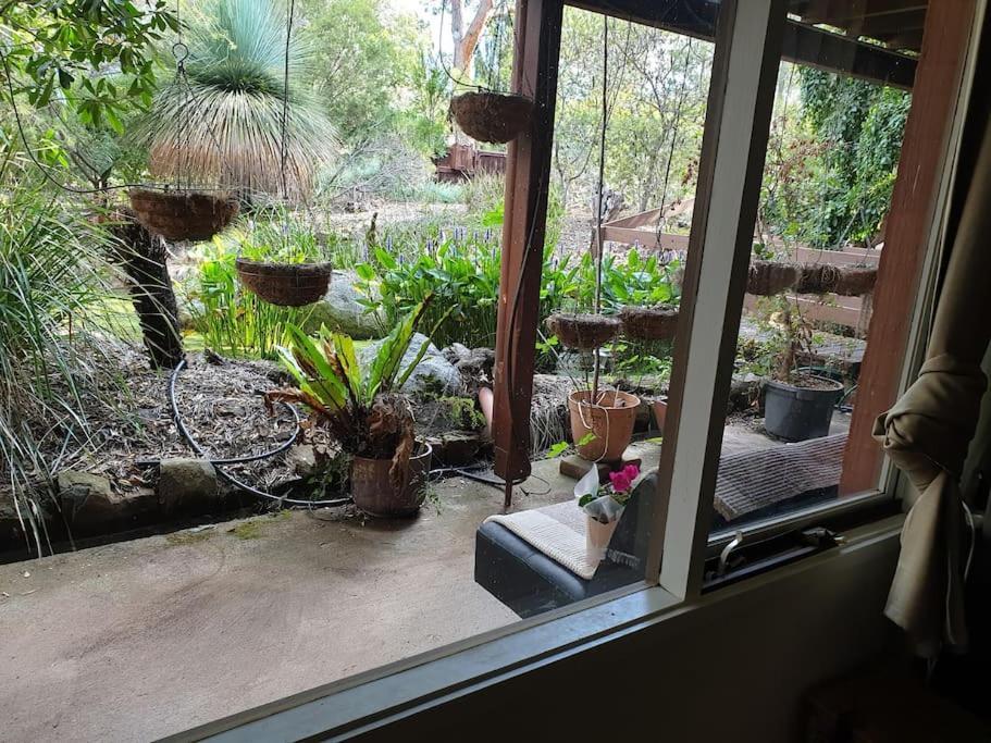 Nature Near & Anu With Free Parking Apartment *