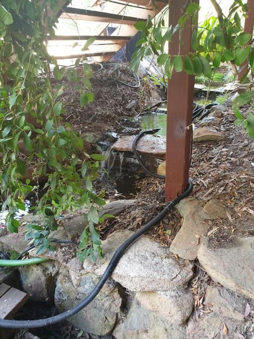 Apartment Nature Near & Anu With Free Parking