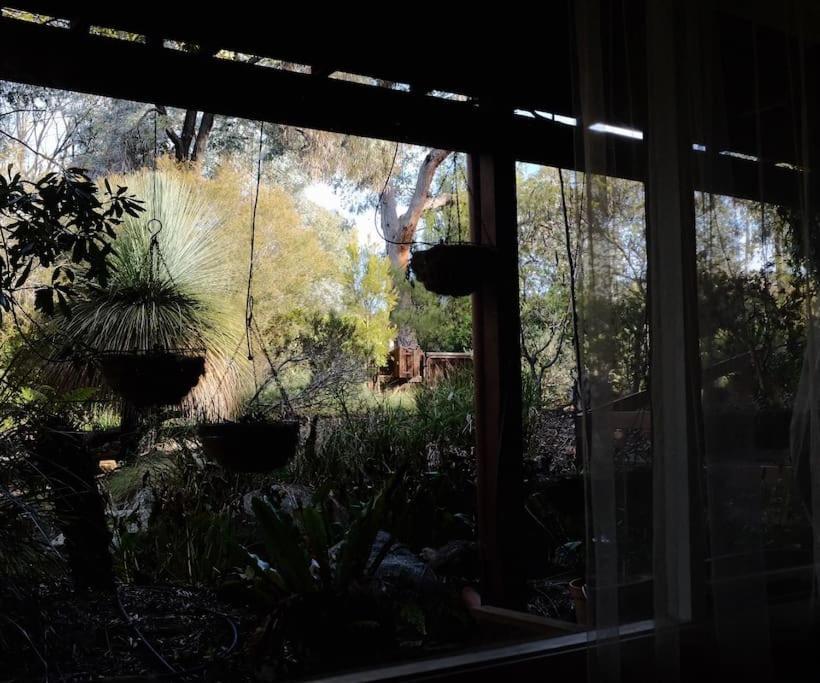 Nature Near & Anu With Free Parking Apartment