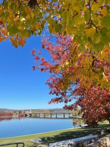 Forrest & 3* Canberra