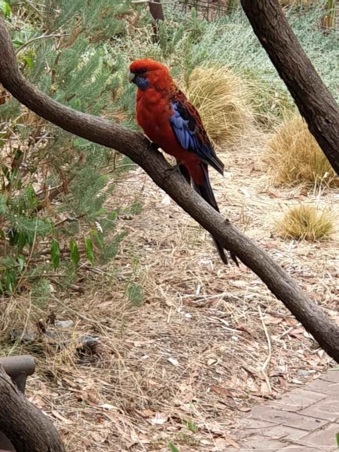 Apartment Nature Near & Anu With Free Parking