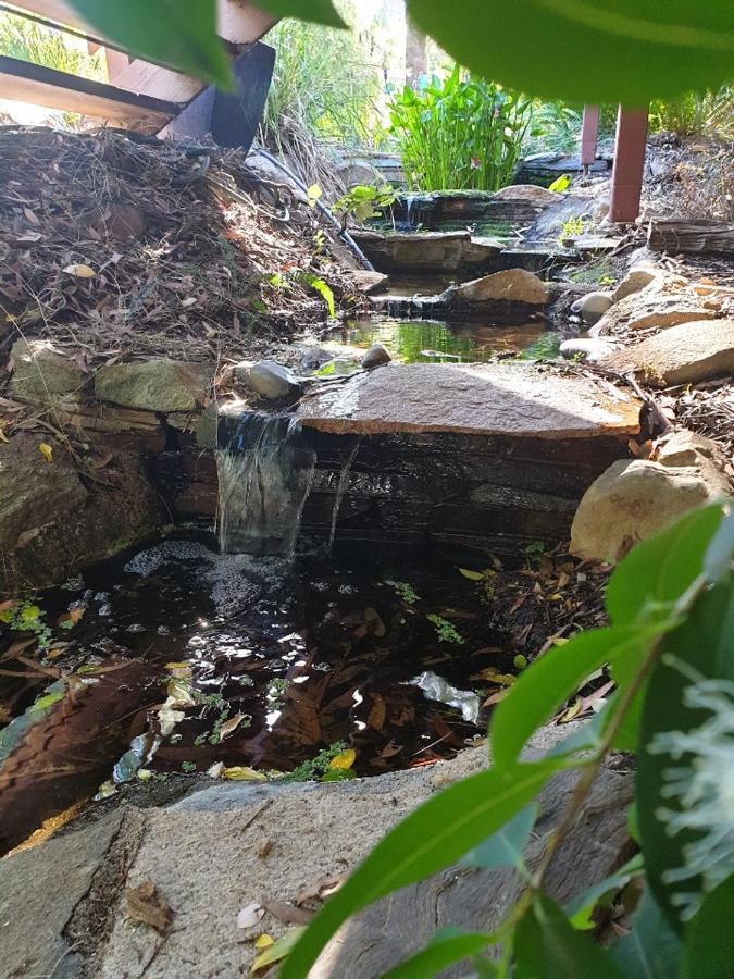 Nature Near & Anu With Free Parking Apartment *