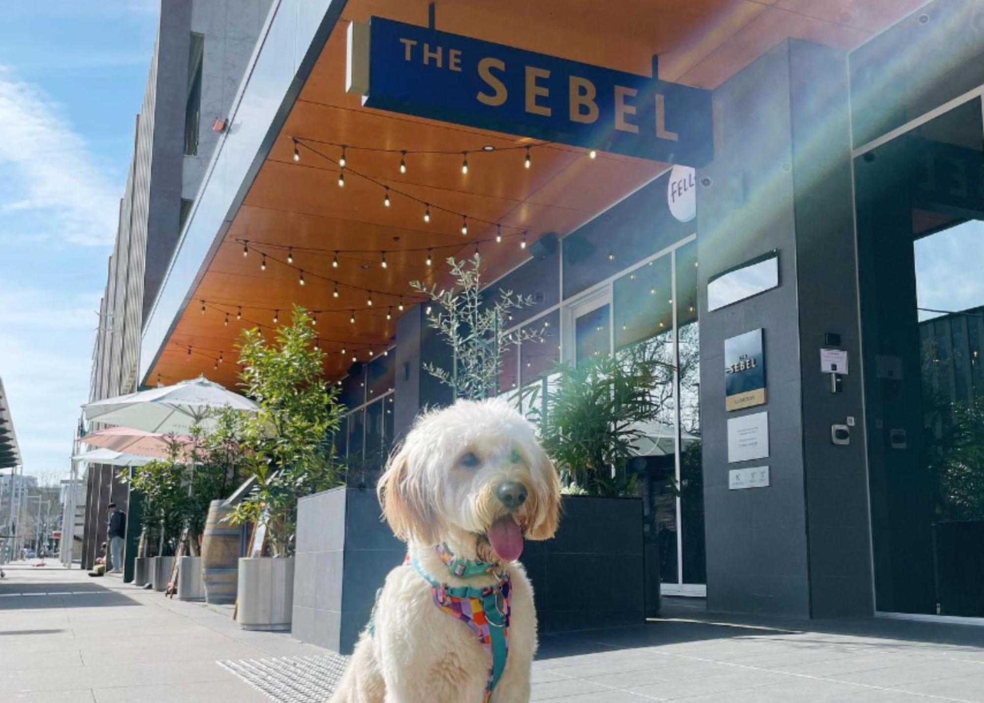 The Sebel Civic 4* Canberra
