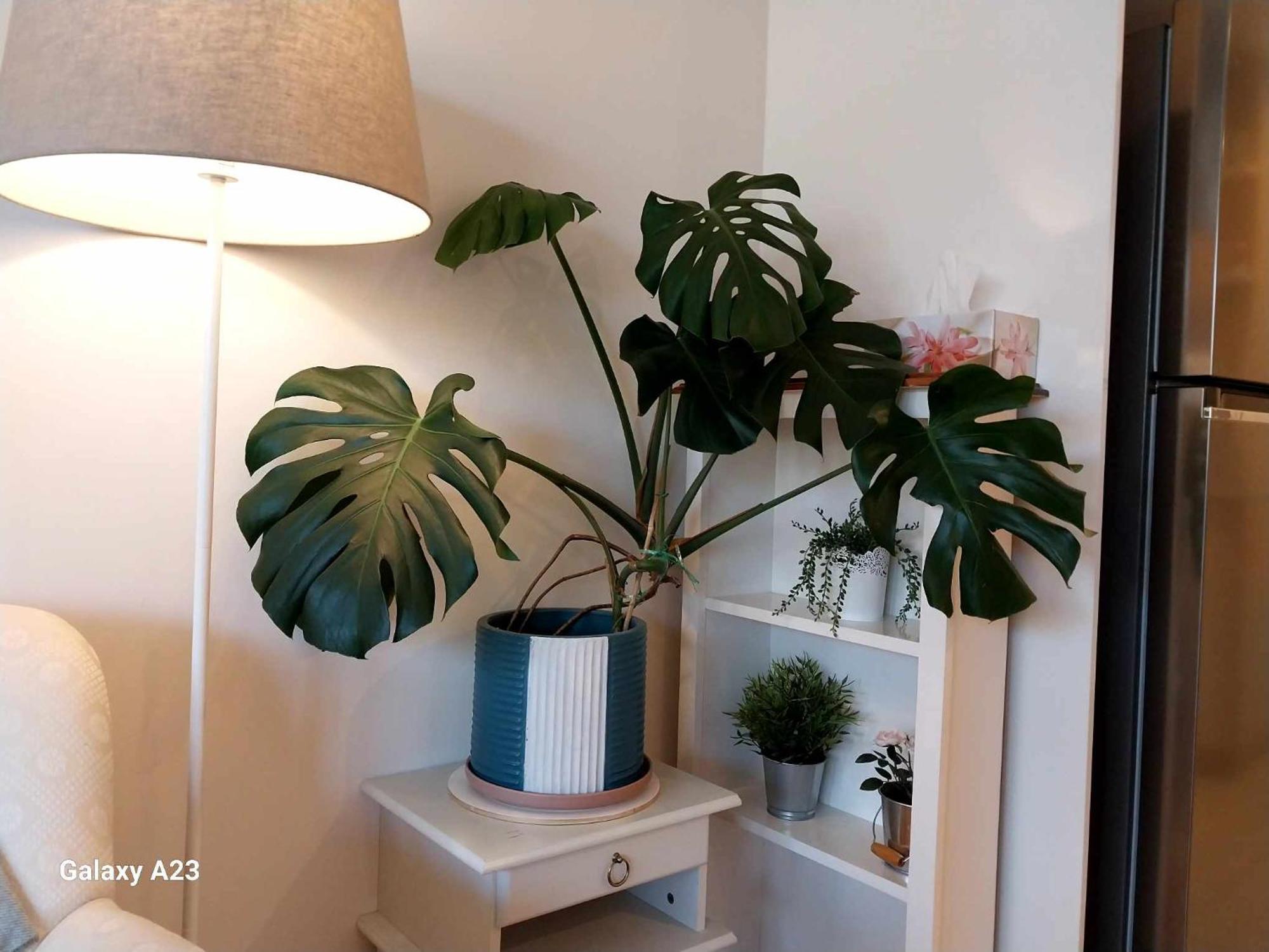 Lux 2 Bed 2 Bath Secure Parking In The Heart Of Dickson, * Canberra