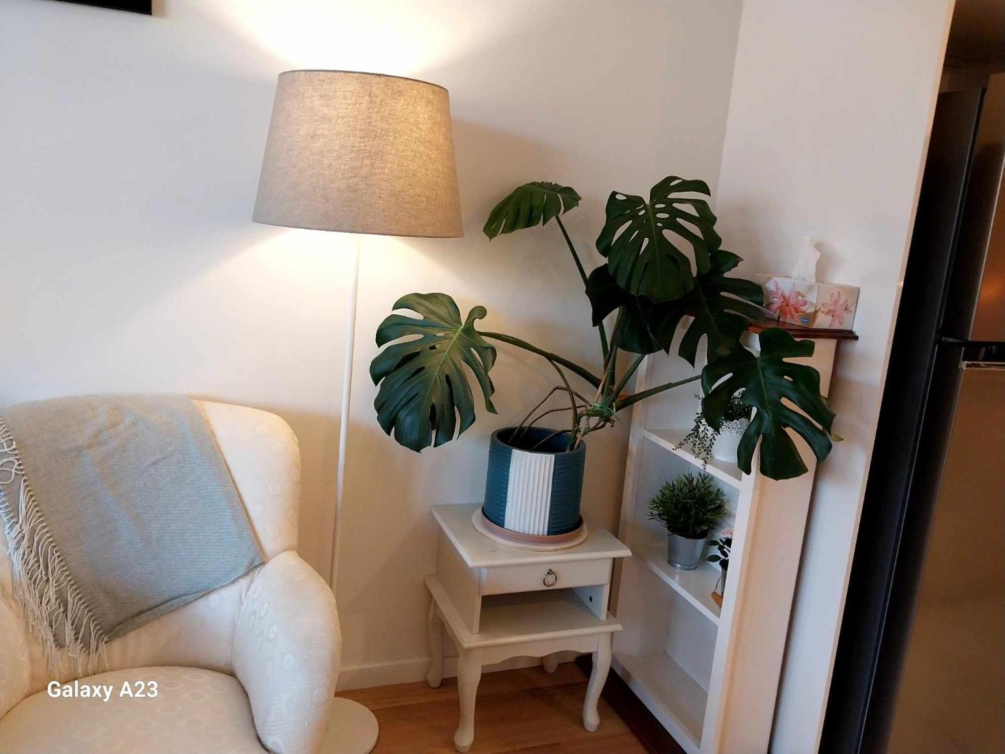 Apartment Lux 2 Bed 2 Bath Secure Parking In The Heart Of Dickson,