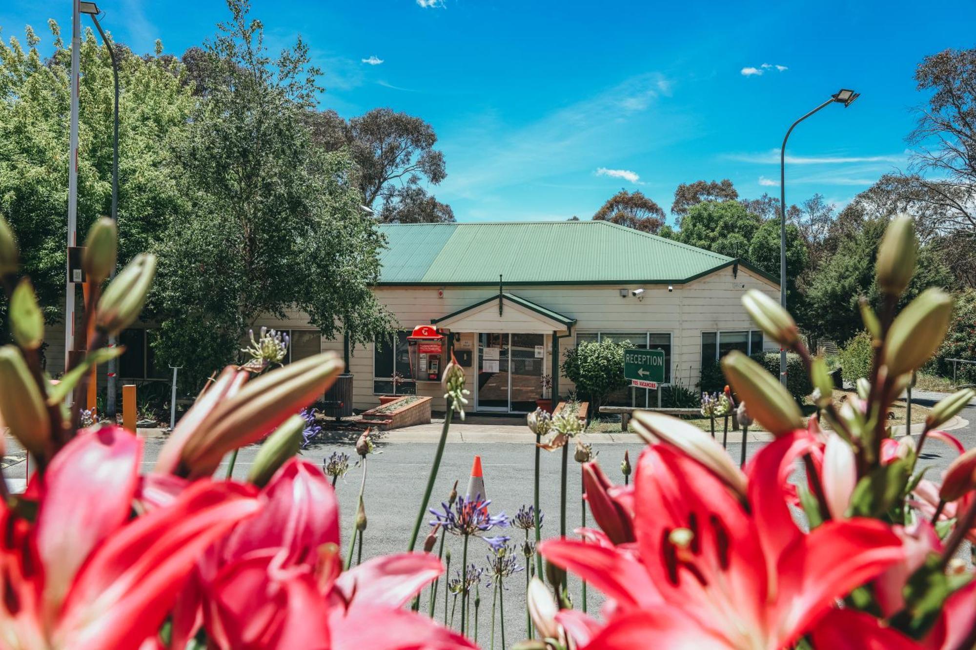 Eaglehawk Park *