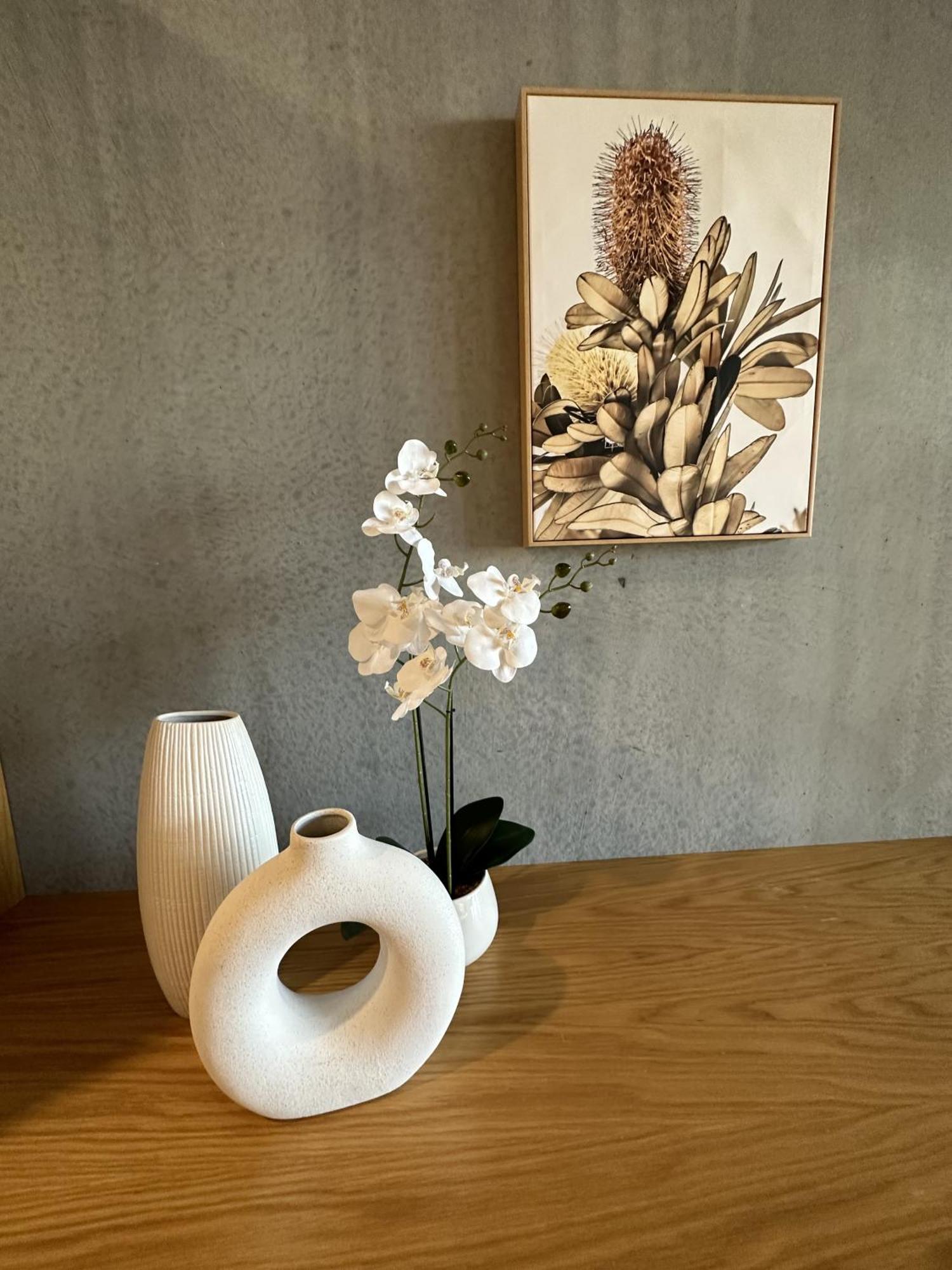 Palko - Luxury In The * Canberra