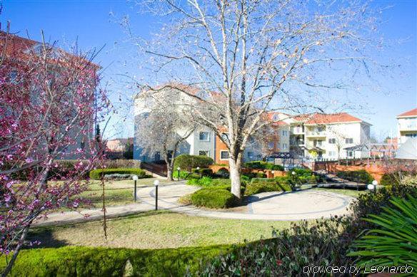 Bentley Suites Apartment *