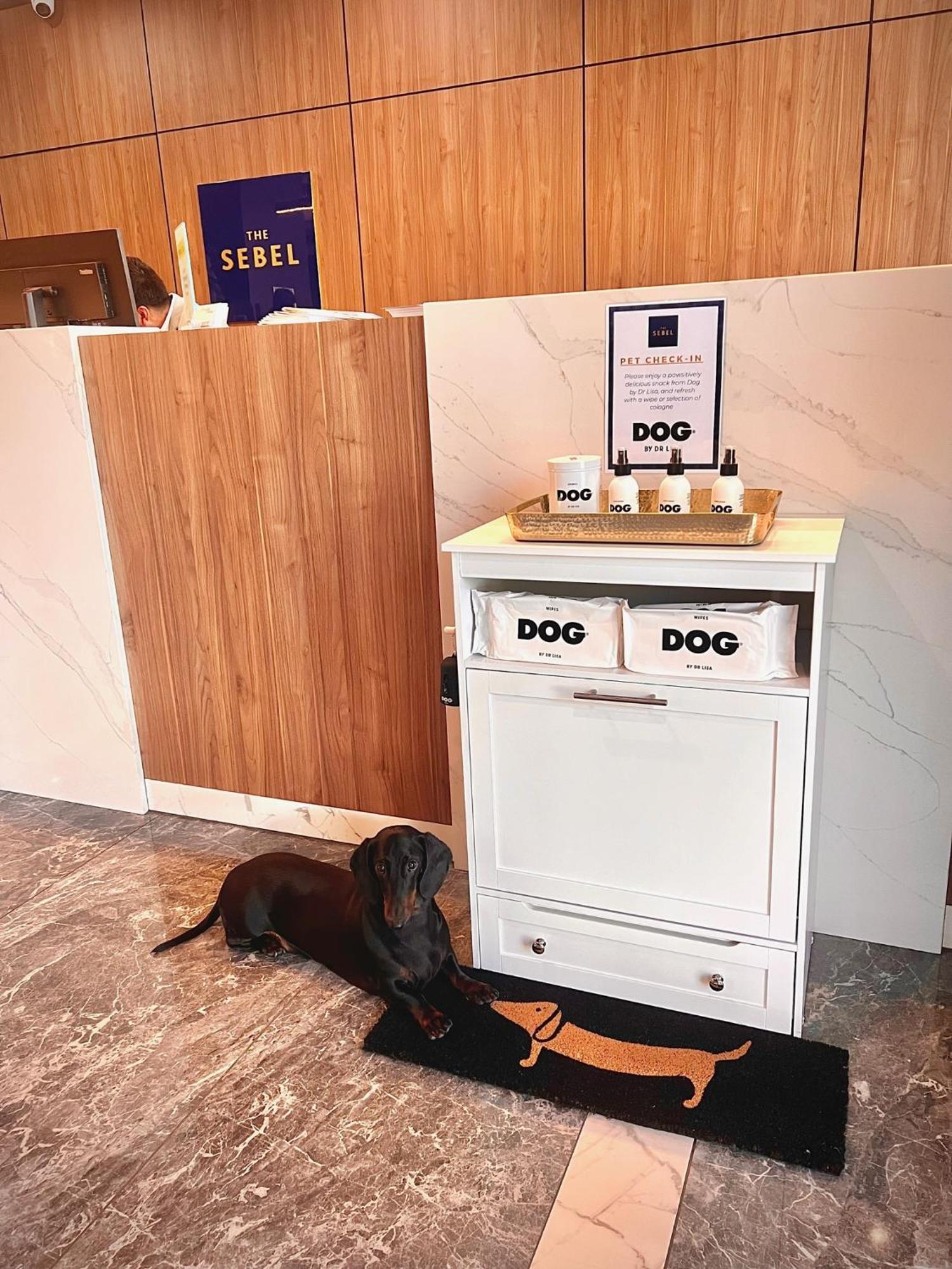 Hotel The Sebel Civic 4*