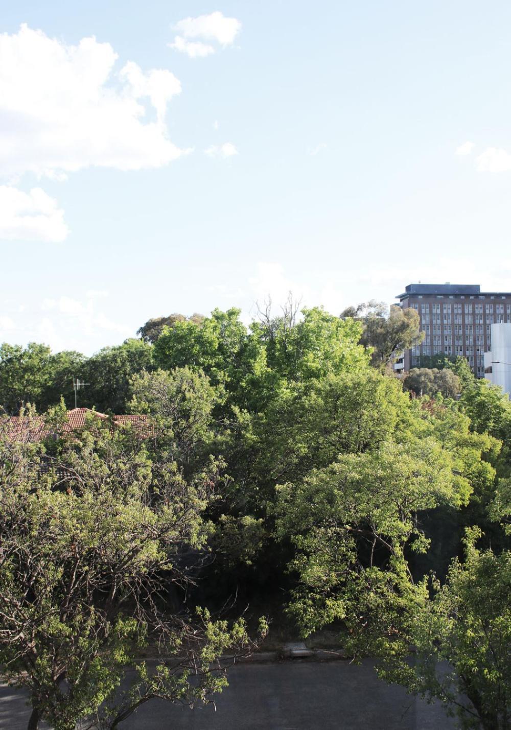 Braddon - Themed Micro In Canberra's Trendiest Neighborhood Apartment *