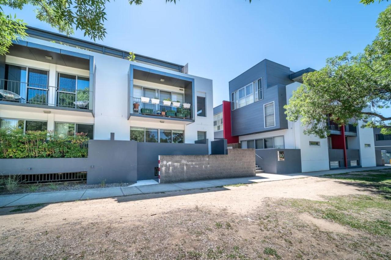 Apartment Cosy Contemporary 1br Sofa Bed Canberra