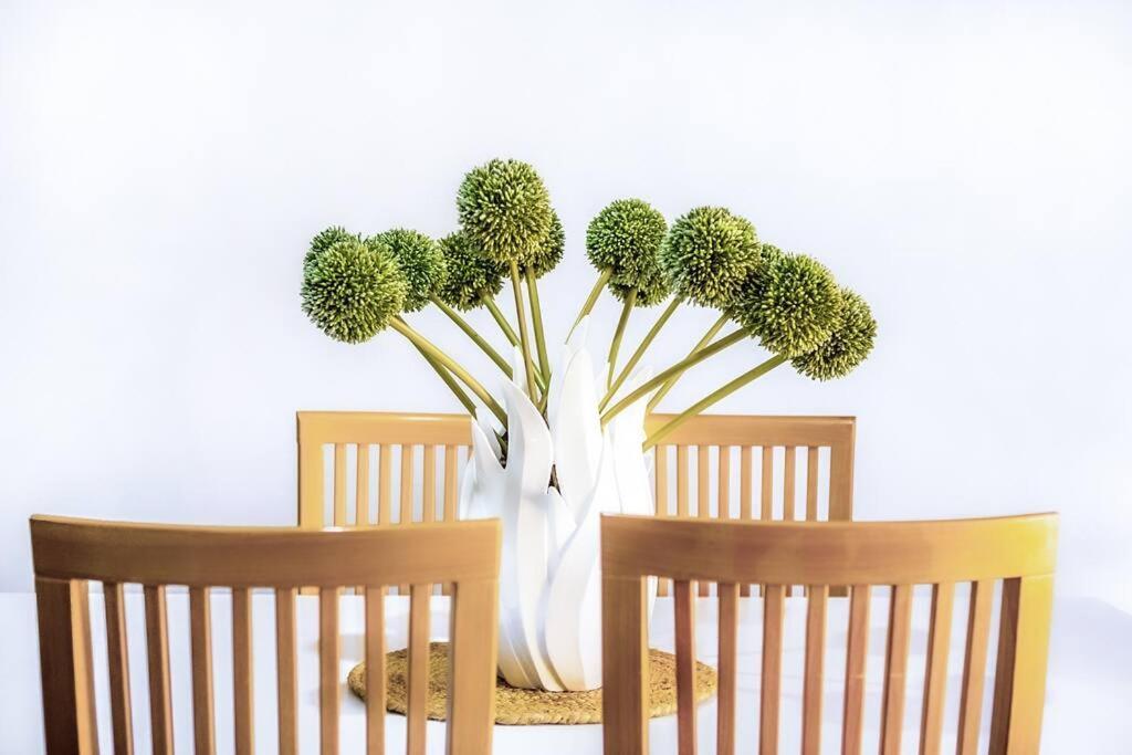 Apartment Lovely 2b With Free Wifi - The Blue Gum *
