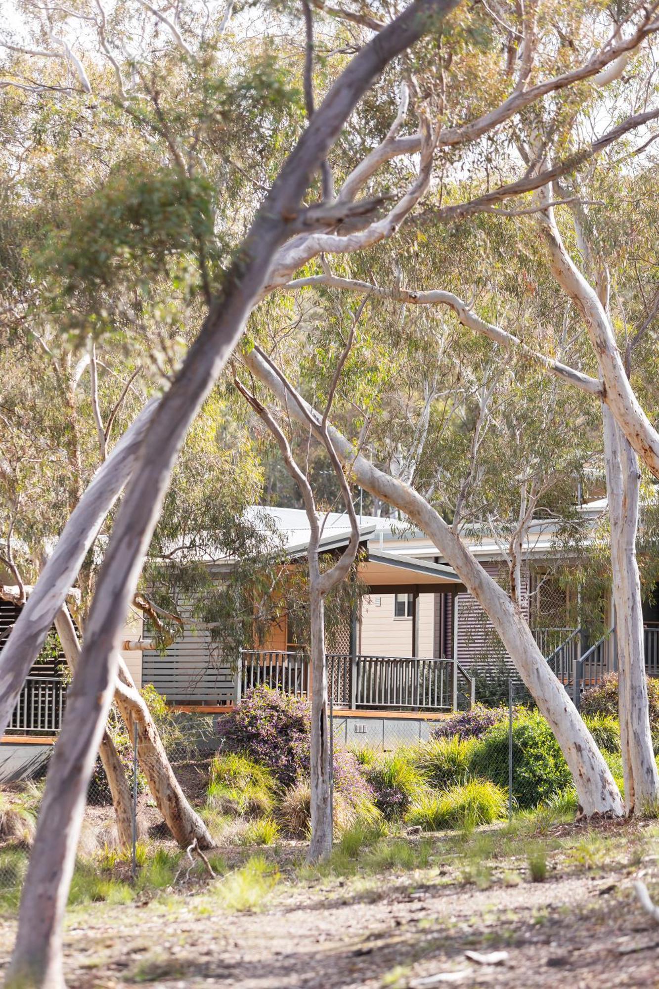 Holiday park Alivio Tourist Park Canberra