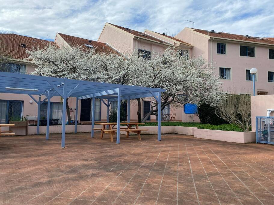 Apartment Top-floor, 3-bedroom Apartment-close To Cbd & Anu