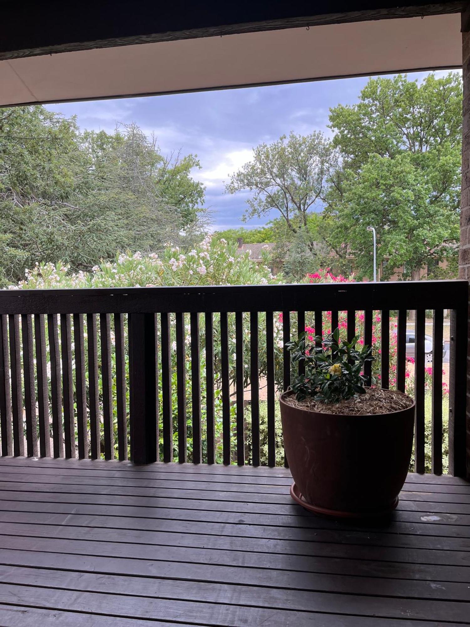 Little Gem In The Canberra