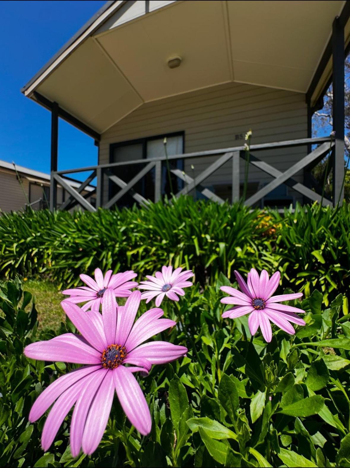 Holiday park Eaglehawk Park *
