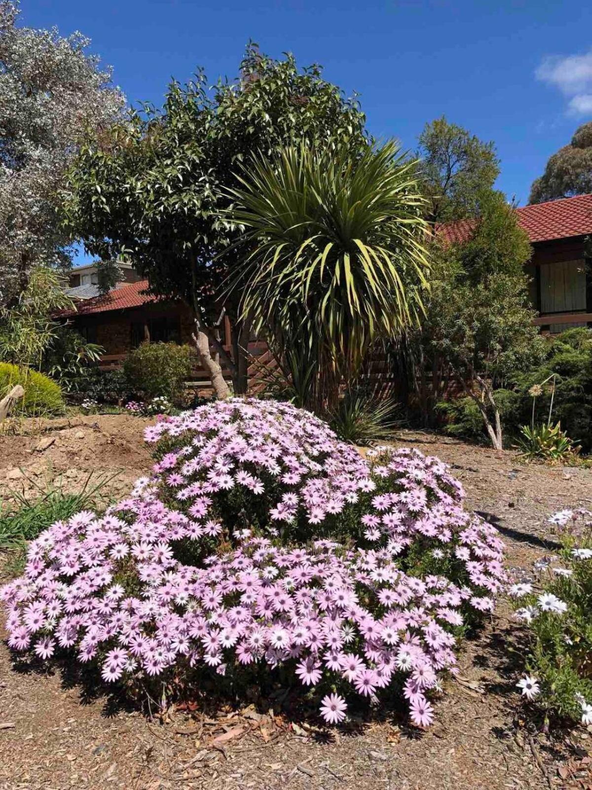Holiday home Hawker 4br House *