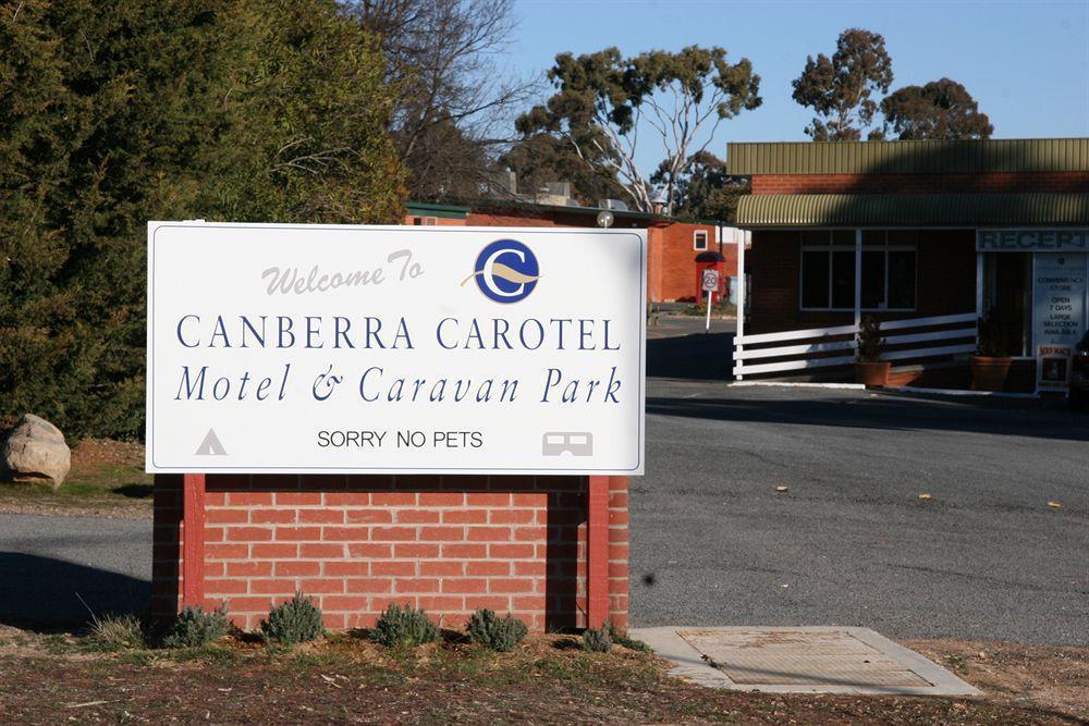 Carotel