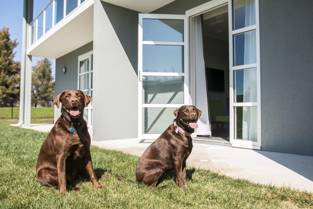 Hotel Abode Narrabundah Canberra