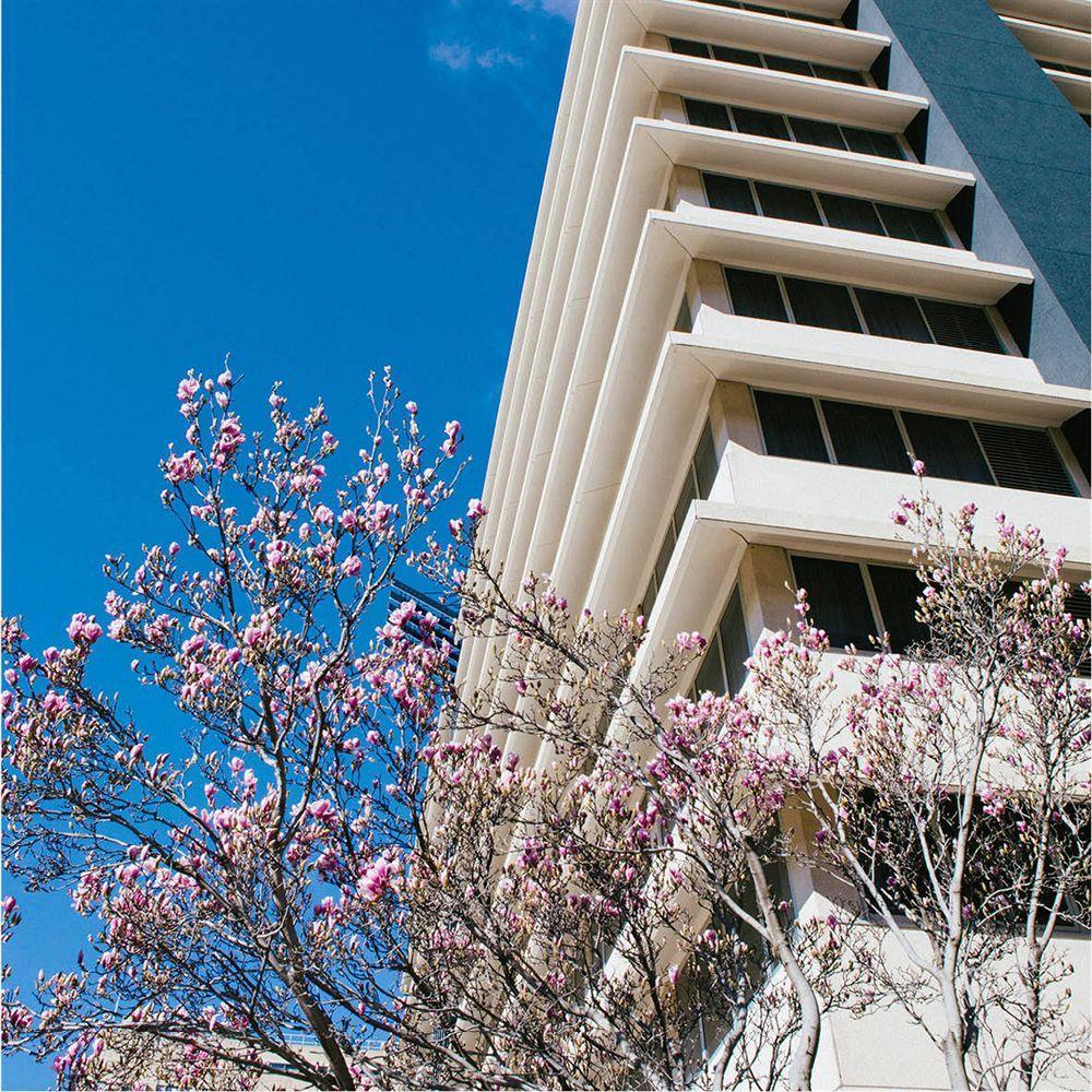 Abode Woden