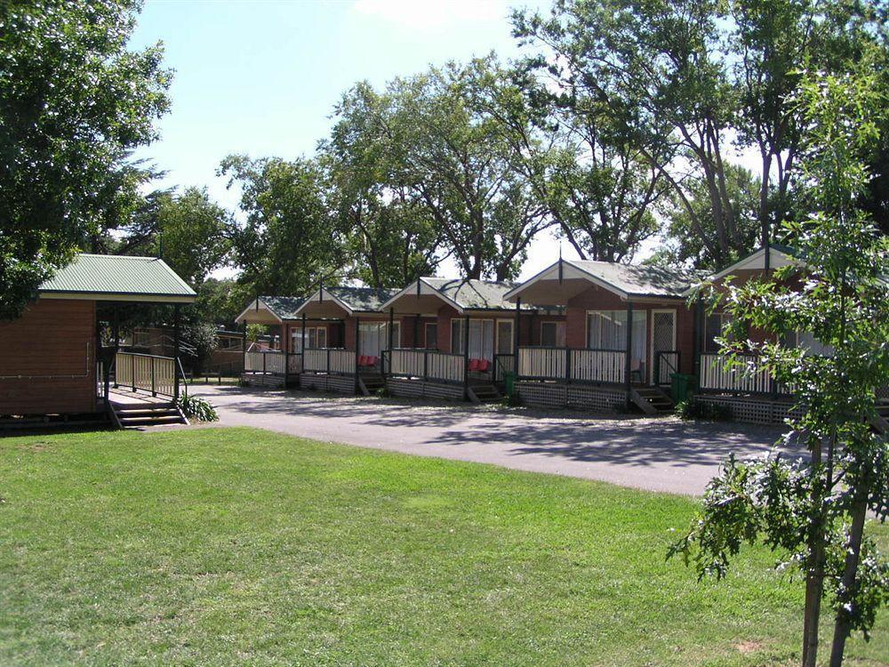 Motel Carotel