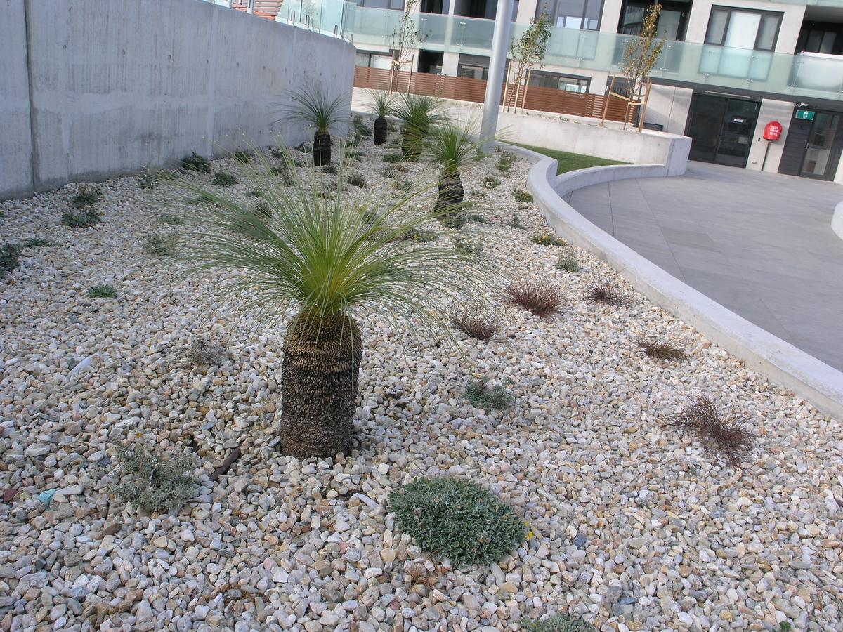 Kesh At Infinity Towers Canberra