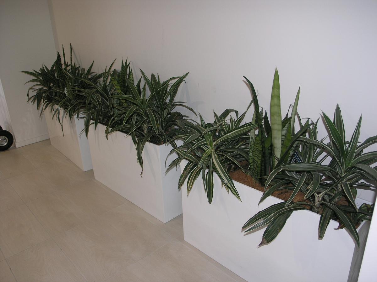Apartment Kesh At Infinity Towers Canberra