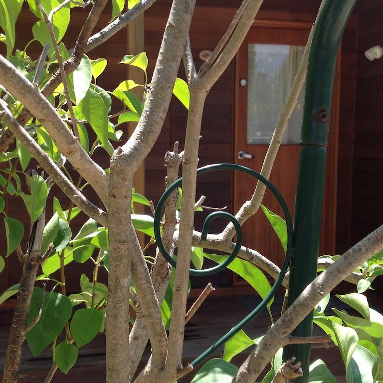 The Cook Holiday home Canberra