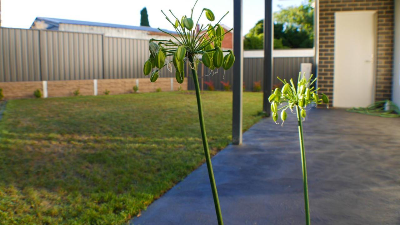 Villa Maison Executive Canberra