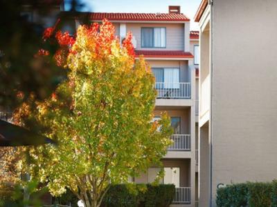 Pinnacle Canberra