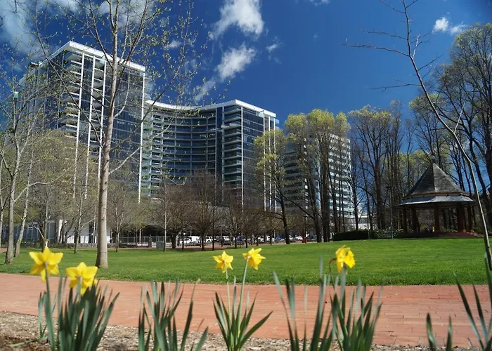 Manhattan On Glebe Park