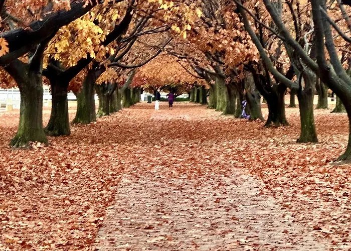 Eaglehawk Park Canberra