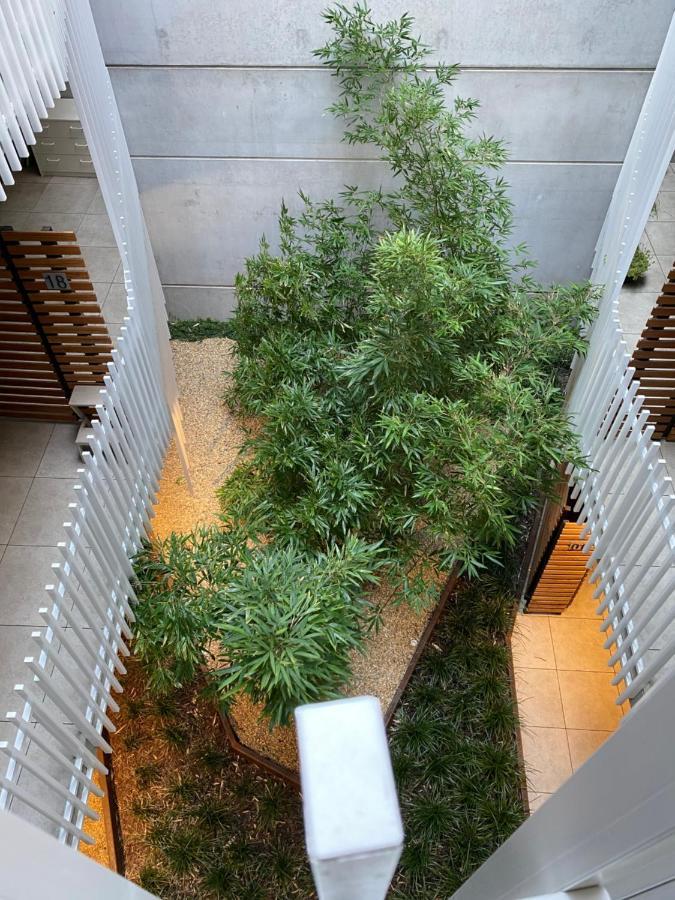 Apartment The Gallery Luxe 1 Bedroom Executive In The Heart Of Braddon Wine Secure Parking Wifi