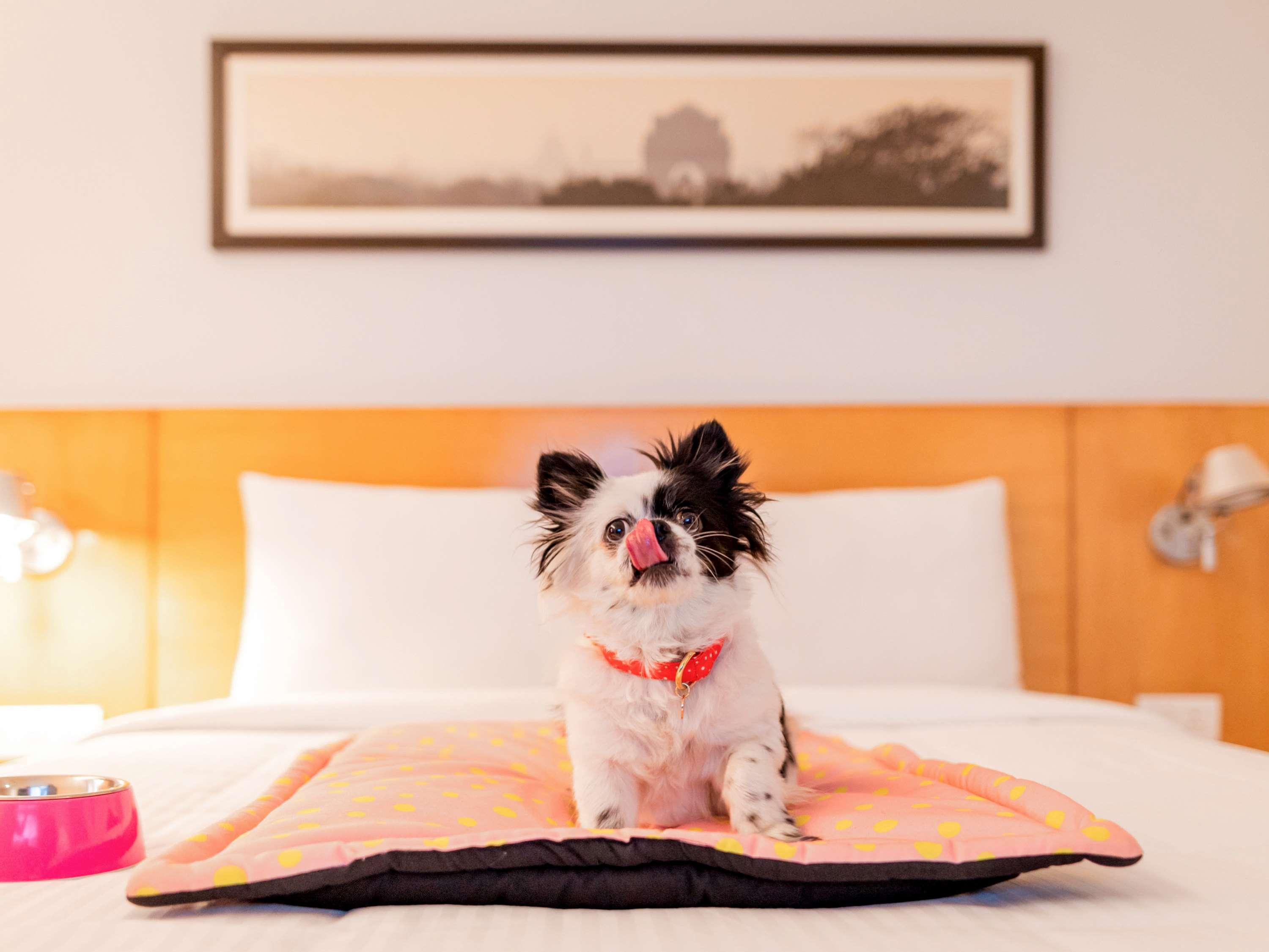 Hotel Mercure Canberra