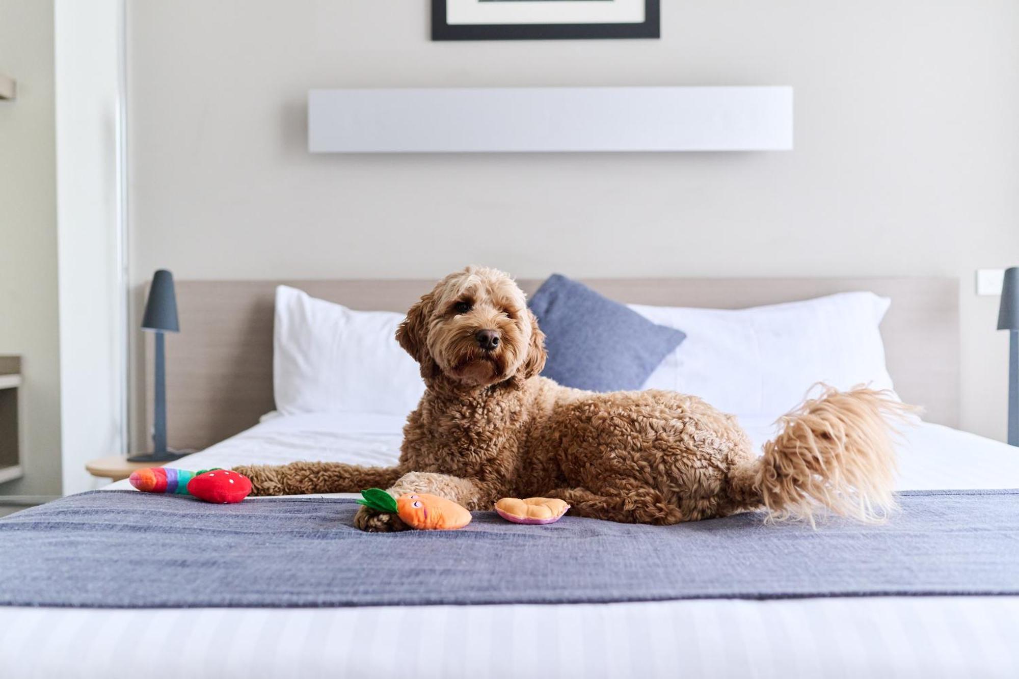 Abode Phillip 4* Canberra