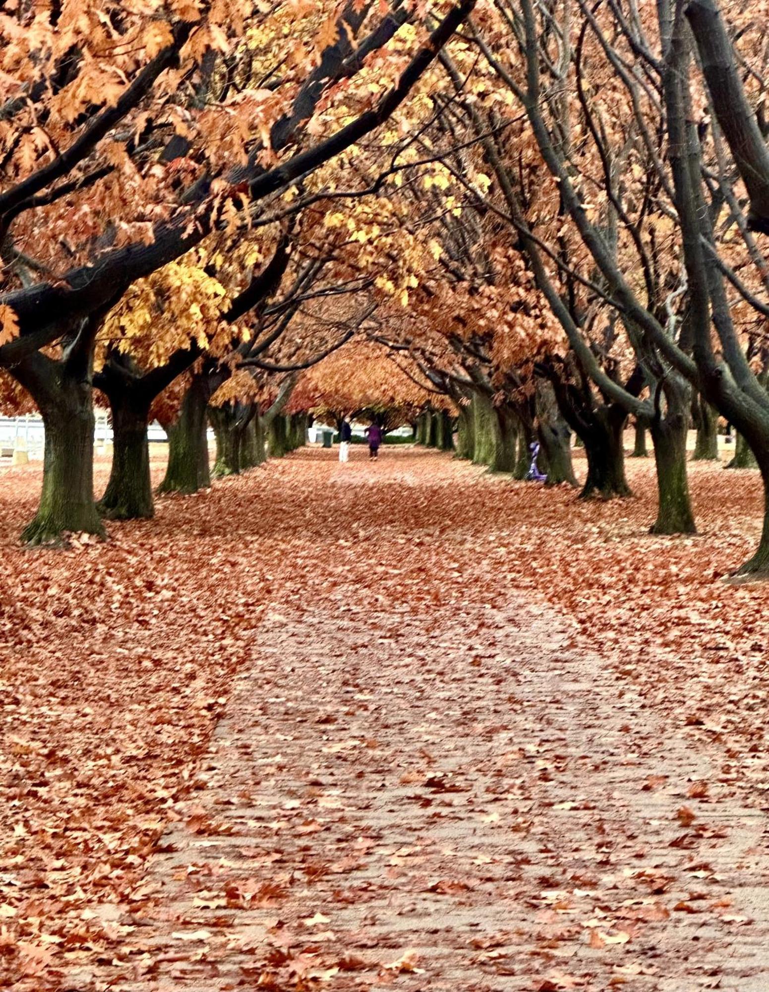 Eaglehawk Park Holiday park